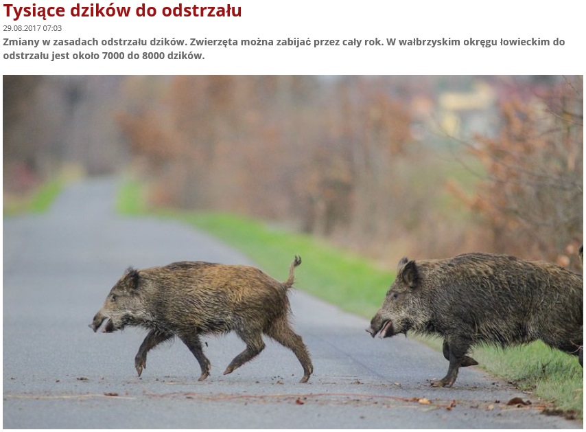 20170830dzikizajawka