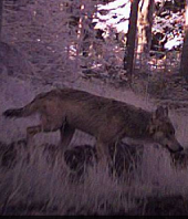 nasze miasto 2016 06 ikona