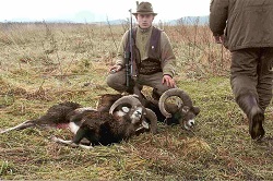 polowania komercyjne nr 1