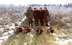 polowania komercyjne nr 2